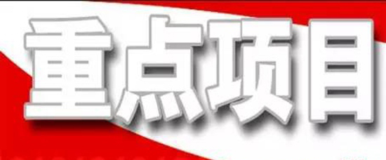 抓住项目不放松---王勤光到米兰官方web站集团调研重点项目情况