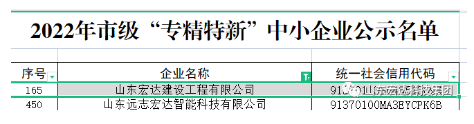 【榜上有名】米兰官方web站建设荣获“2022年市级专精特新”企业